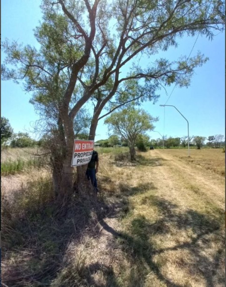 ALQUILER CAMPO 3,5 HECTAREAS, CALLE ESPAÑA ZONA AEROPUERTO, SAUCE VIEJO