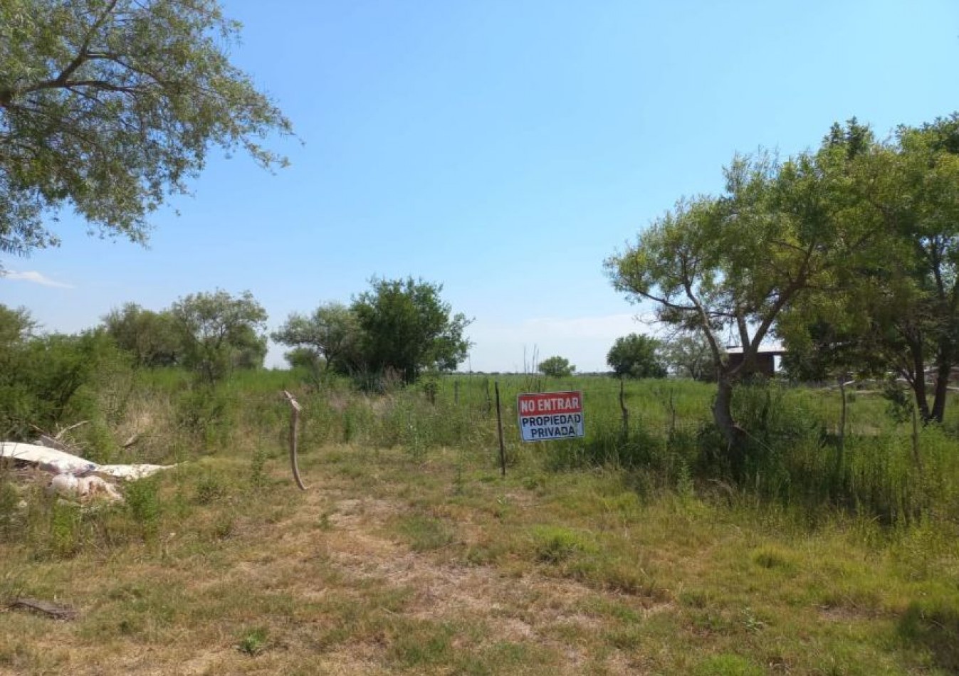 ALQUILER CAMPO 3,5 HECTAREAS, CALLE ESPAÑA ZONA AEROPUERTO, SAUCE VIEJO