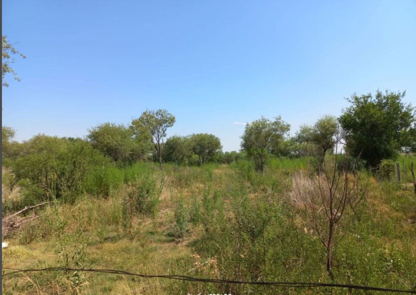 ALQUILER CAMPO 3,5 HECTAREAS, CALLE ESPAÑA ZONA AEROPUERTO, SAUCE VIEJO