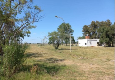 ALQUILER CAMPO 3,5 HECTAREAS, CALLE ESPAÑA ZONA AEROPUERTO, SAUCE VIEJO